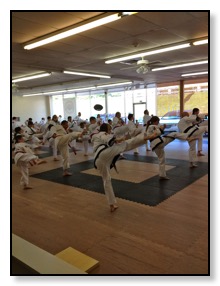 Adult Karate Training In Pittsburgh