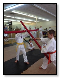 Karate Weapons In Pittsburgh