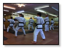 Tang Soo Do Karate