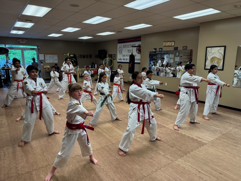 South Hills of Pittsburgh Karate Class