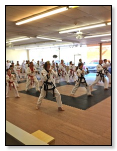 South Hills Karate Academy In Pittsburgh PA